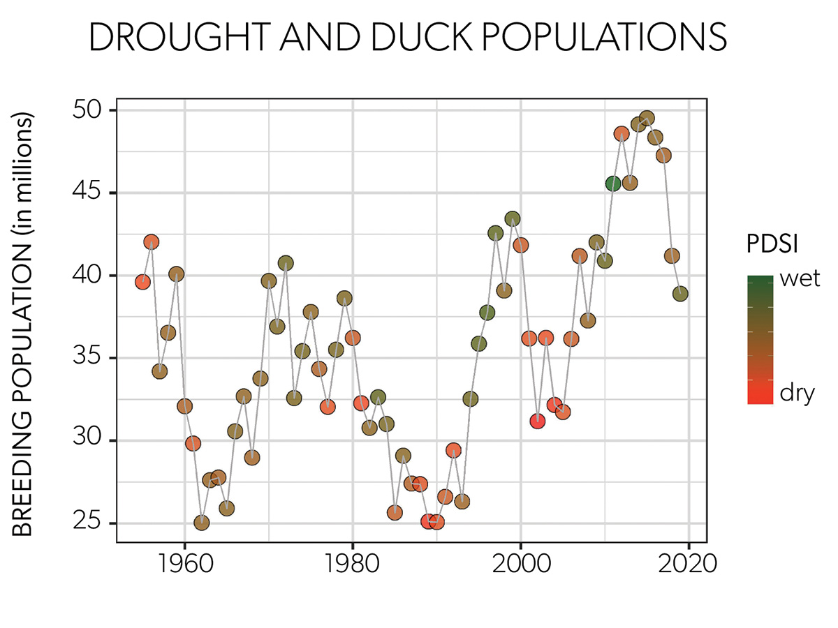 Data Courtesy of the NOAA and USFWS_Drought and Duck Populations 2022.jpg